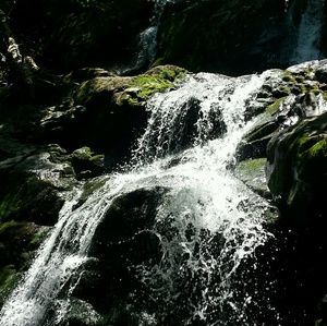 Meet your Posher, Shari